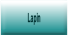 Lapin.